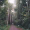 road near the Chain O'Lakes Waupaca, WI