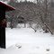 River in Winter