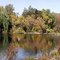 Red Mill Pond and Dam Crystal River