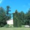 Foliaged silo near Waupaca, WI.