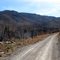 Nov. 2009 view of 2004 fire - north side of Capitan Gap