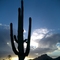Arizona