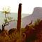 Apache Lake Runner I