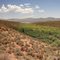 Armer Gulch:  A river of green flowing to Roosevelt Lake