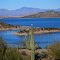 Lone Saguaro At Lake Roosevelt