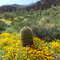 Tonto National Monument in March