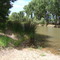 San Pedro River