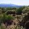 Lake Pleasant