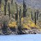 Lake Pleasant Shoreline