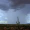 Storm chasing Desert style