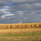 Wind Farm 1