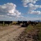 Willcox Ranch