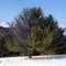Plotterkill Winter Panorama