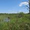 Knox Wetlands