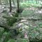 Limestone Ridge Crevasse