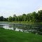 Veiw from the park