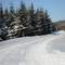 Snowmobile Trail