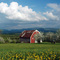 Forbes Road, East Colebrook, New Hampshire