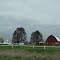 Barn near Iowa Falls IA