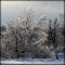 Glass trees