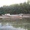 Abandoned boat and seashells