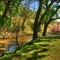 Spring in Round Valley Park