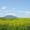 Mount Diablo from Oakley