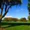 Pleasanton Sports Park