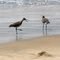 Dockweiler Beach State Park
