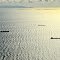 Shipping and Santa Catalina Island