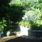 Jardín