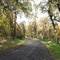 Bidwell Park