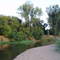 Caswell Memorial State Park (Campground on Stanislaus River)