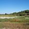 Spacious Nature at Wildlife Refuge