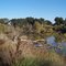 Pelican Trail North End