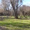 Caswell Picnic Area