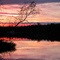 Horseshoe Lake