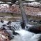 "Big WaterFall" in Puszcza Bukowa (Niedzwiedzianka Stream)