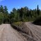 Two Roads Diverged