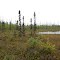 Big Lake