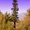 Pine Tree Mobile Stealth Site