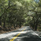 Live Oak Canyon Road