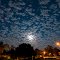 Night illumined – Coto de Caza, CA