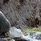 Santa Margarita River Trail Winter