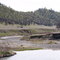 Creek in Bear Valley