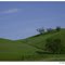 Leesville Rd - Spring