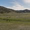 Highlands Pasture