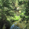 Linda Creek, Roseville, CA