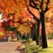 Autumn sun