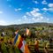 Opening ceremony of the arrival of the Jade Buddha in San Diego Feb 2010
